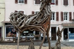 IMG_9991 IMG_9991