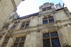 IMG_1636 IMG_1636