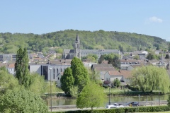 IMG_1649 IMG_1649