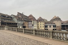 IMG_1237 IMG_1237