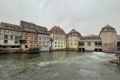 IMG_1241 IMG_1241