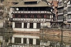IMG_1248 IMG_1248
