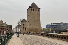 IMG_1264 IMG_1264