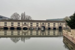 IMG_1267 IMG_1267
