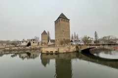 IMG_1269 IMG_1269