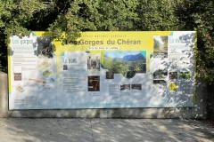 IMG_8636 IMG_8636