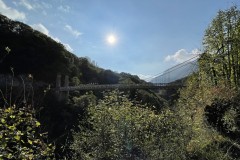 IMG_8639 IMG_8639