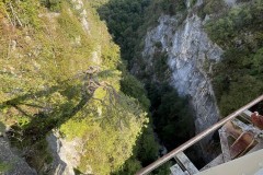 IMG_8644 IMG_8644