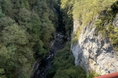 IMG_8645 IMG_8645