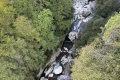 IMG_8648 IMG_8648