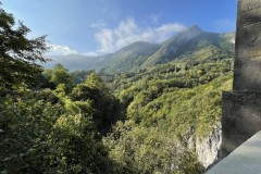 IMG_8652 IMG_8652