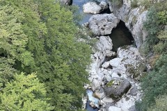 IMG_8657 IMG_8657