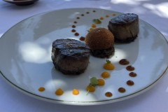 IMG_0948 IMG_0948