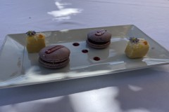 IMG_0965 IMG_0965