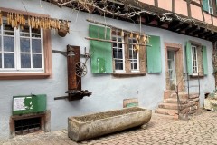 IMG_1326 IMG_1326