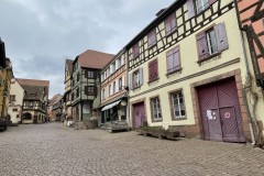 IMG_1331 IMG_1331
