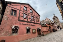 IMG_1347 IMG_1347