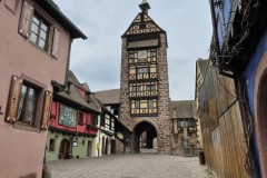 IMG_1350 IMG_1350