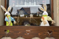 IMG_1359 IMG_1359