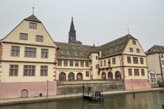 IMG_1223 IMG_1223