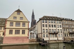 IMG_1225 IMG_1225