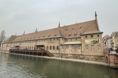 IMG_1231 IMG_1231