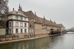 IMG_1232 IMG_1232