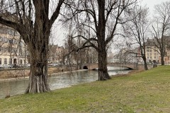 IMG_1233 IMG_1233