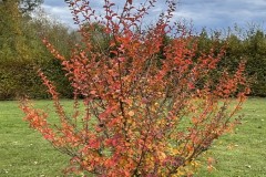 IMG_8596 IMG_8596