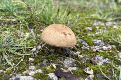 IMG_8597 IMG_8597