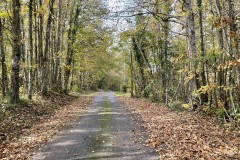 IMG_8658 IMG_8658
