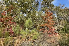 IMG_8664 IMG_8664