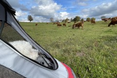 IMG_8669 IMG_8669