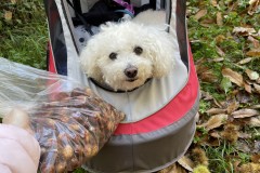 IMG_8691 IMG_8691