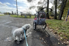IMG_8694 IMG_8694