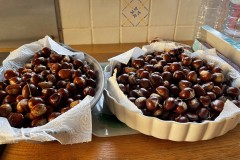 IMG_8708 IMG_8708