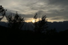 IMG_3918 IMG_3918