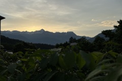 IMG_3920 IMG_3920