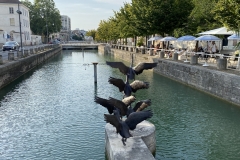 IMG_6102 IMG_6102